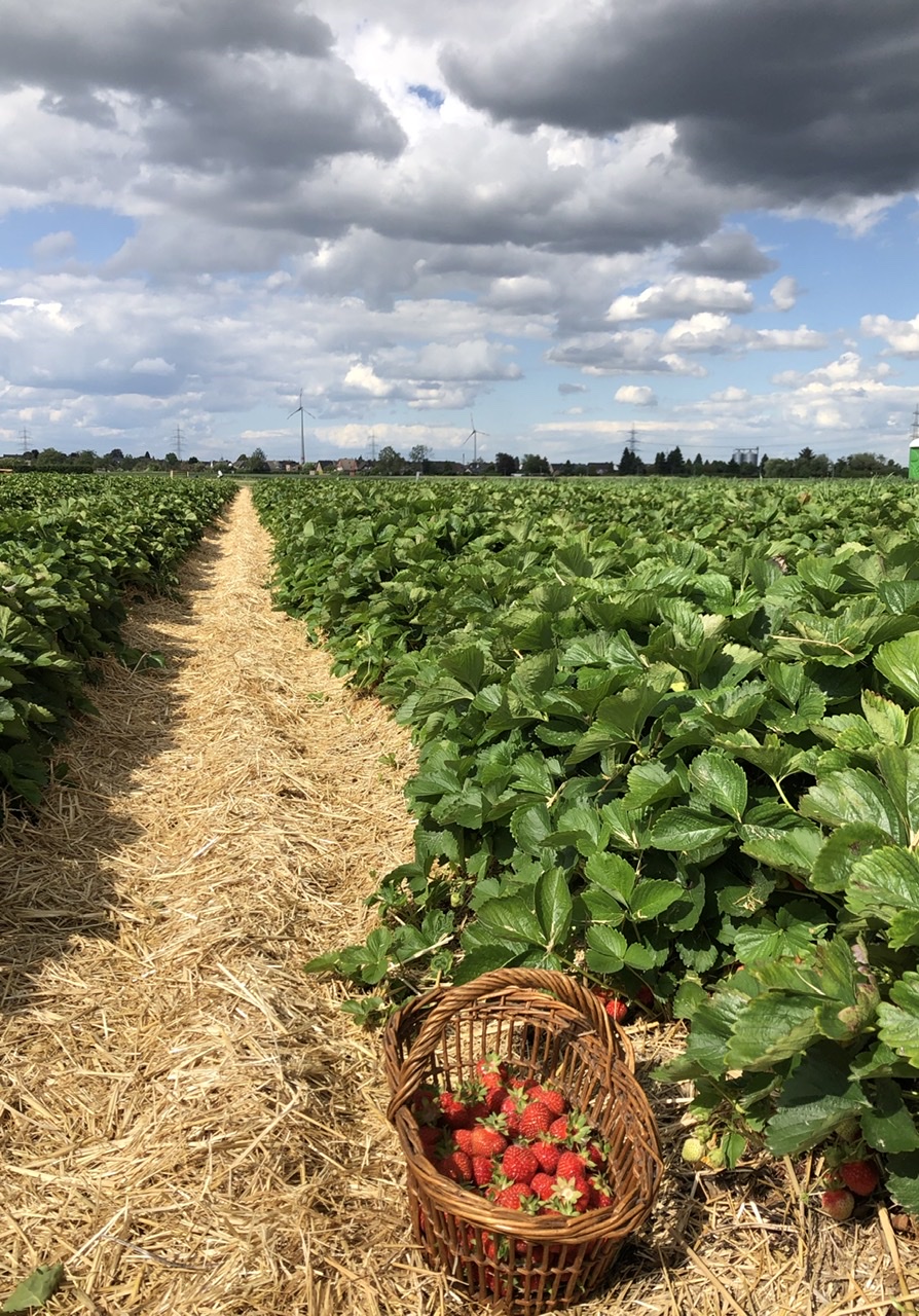 40A3E769-68E4-481F-BC47-6D09339843F0