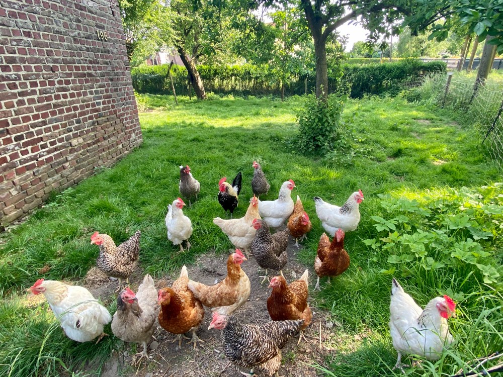 414068B6-57A5-4F99-8005-149739997546