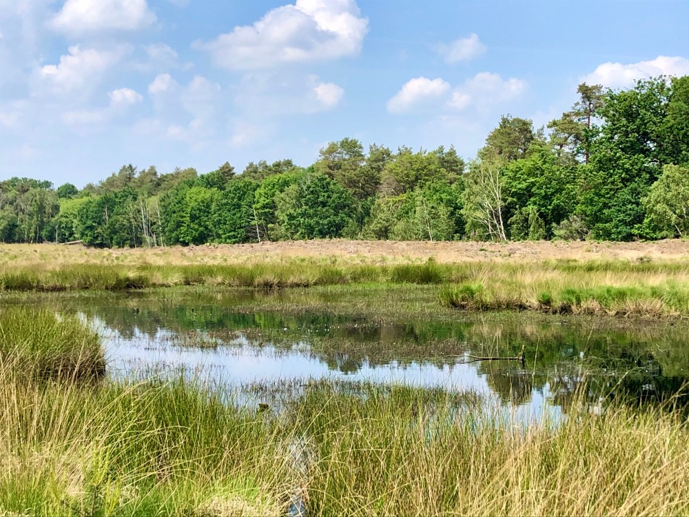 60A6ED1D-E3AE-41CB-886C-5A25446A5182