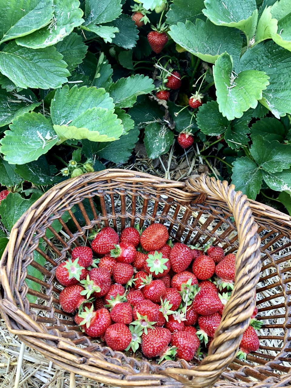 70C12557-82A9-4112-B58B-753C12759F1F