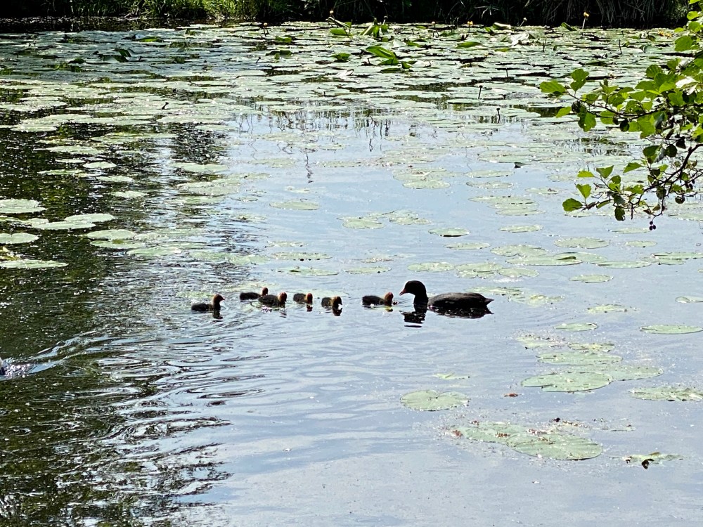 7563D09A-494A-4DE0-8DEF-3D023B279B31