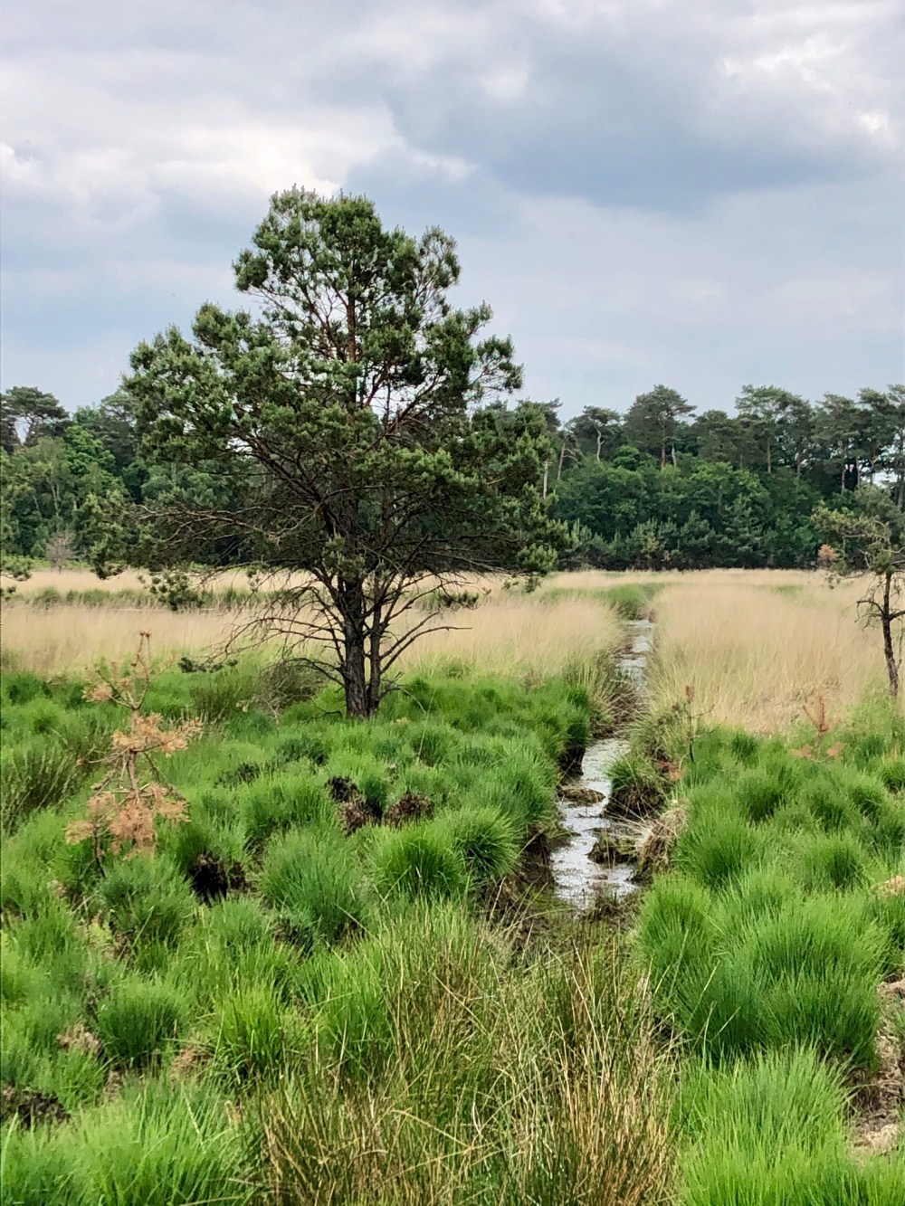 80B8CB56-EC08-46DB-89FE-1C0CAD6D1F2C