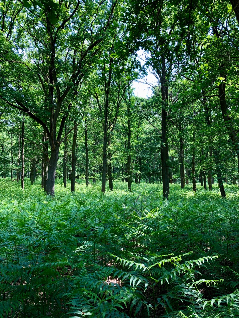 9092F2E1-4513-4280-B77B-E32F7E9F2409