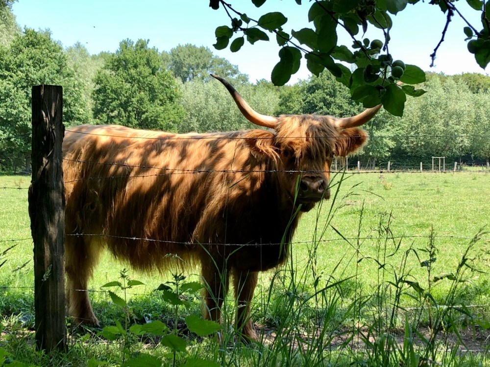 93701F92-AD72-4352-AEAB-05981C75AB3C