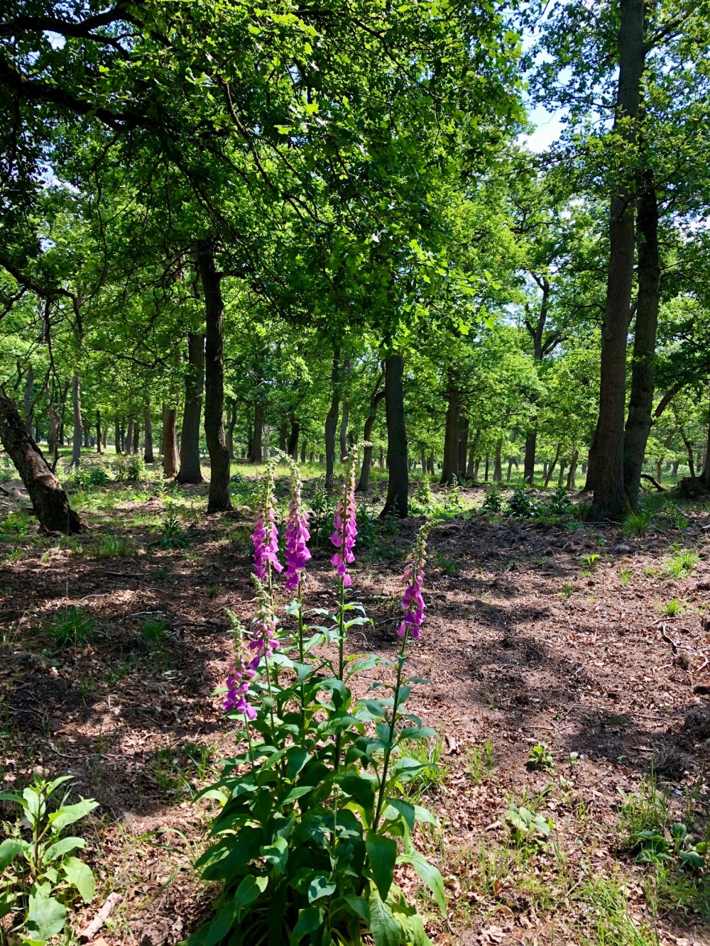 AB218723-3F7D-4C4A-8BB5-1D47F135DB60