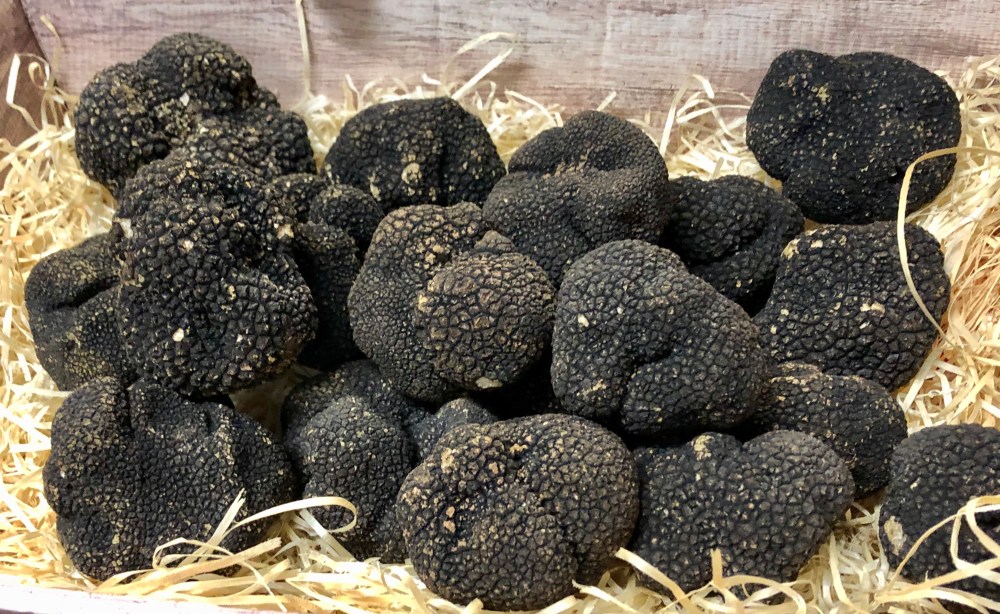 AF08F698-DCED-43DD-8836-6B5050809471