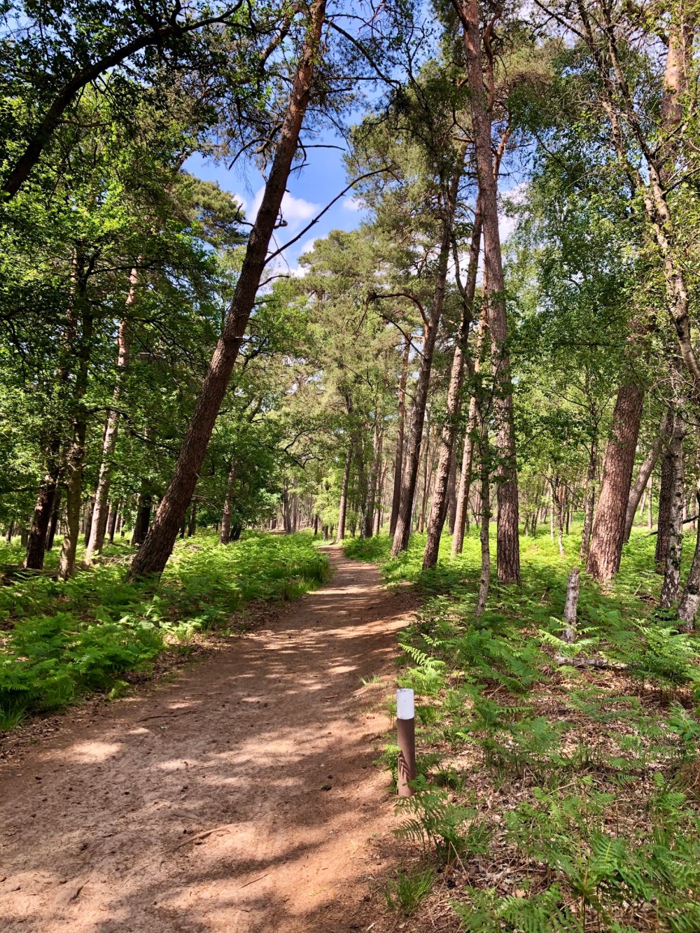 C466F140-F47D-4E4E-9734-2F6A6FCE32BD