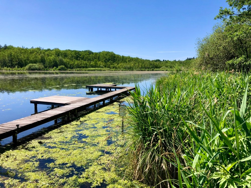 CB95390C-411B-4C35-A44C-DF6BD79CB410