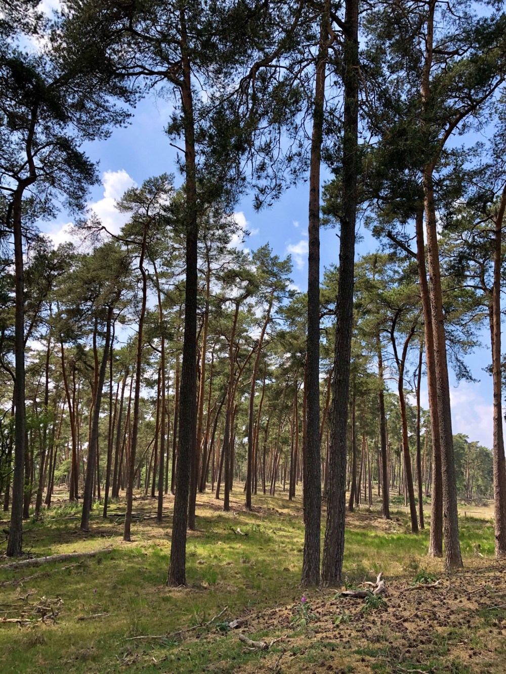 E1060B4A-3C39-4A98-A464-CCFDE67F7837