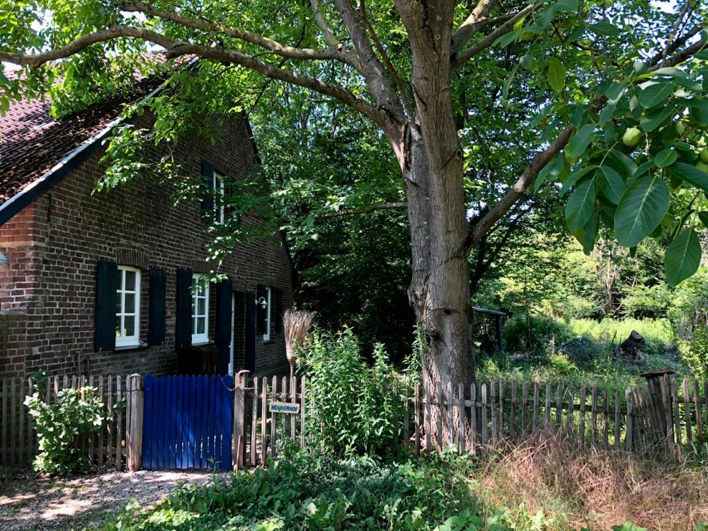 F17A8293-8E13-4DE5-8BBA-BF6D9A2CA25B