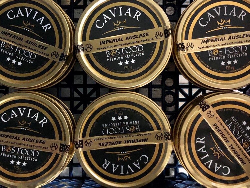 F7227545-9918-4660-B701-3A17710B4198