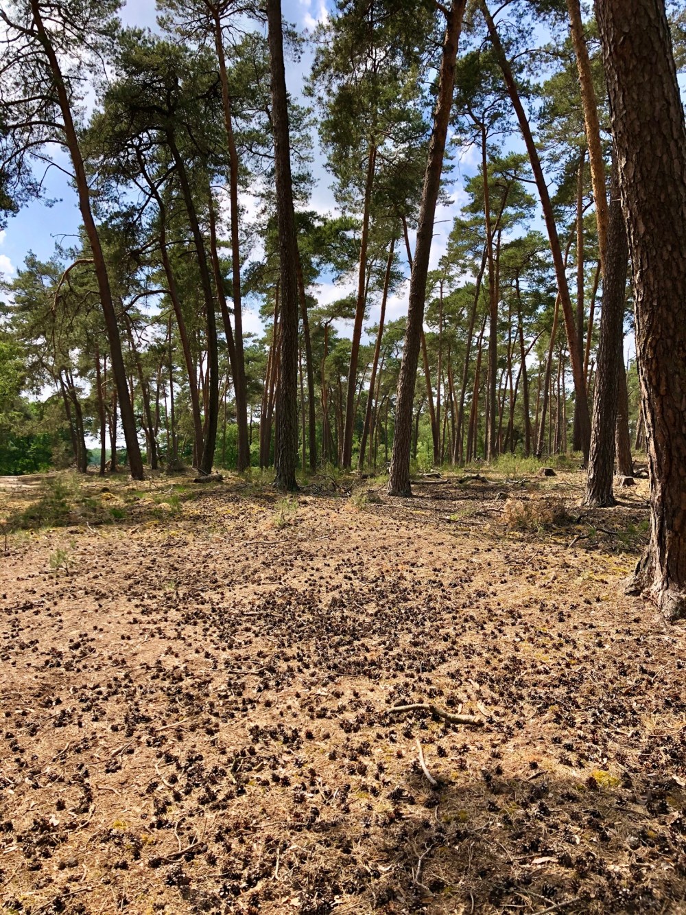 F9AC39E0-98C8-4DF2-A4A0-1A091B3B38AF