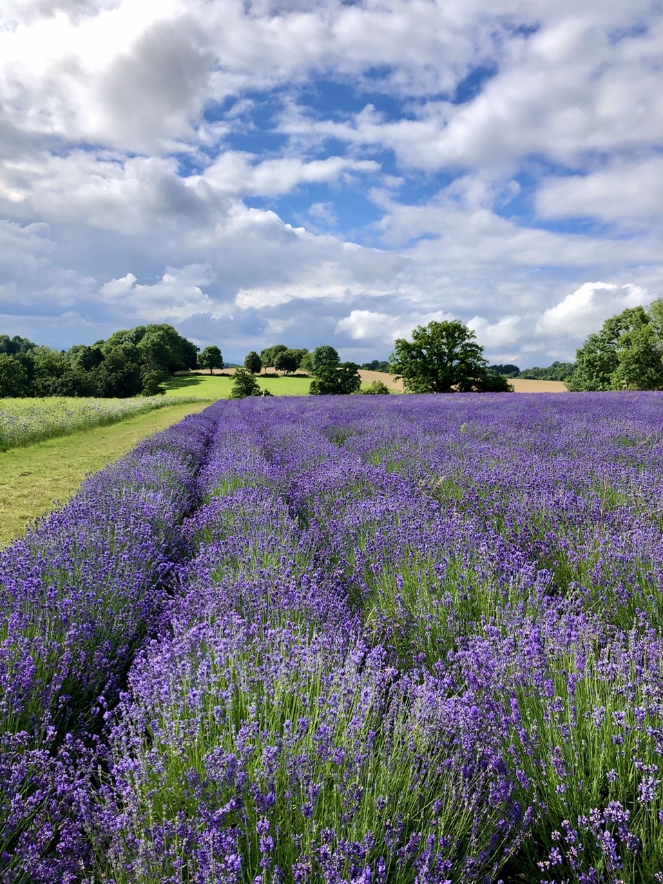 32C43C93-2228-4157-AE7A-470E4C3241D7