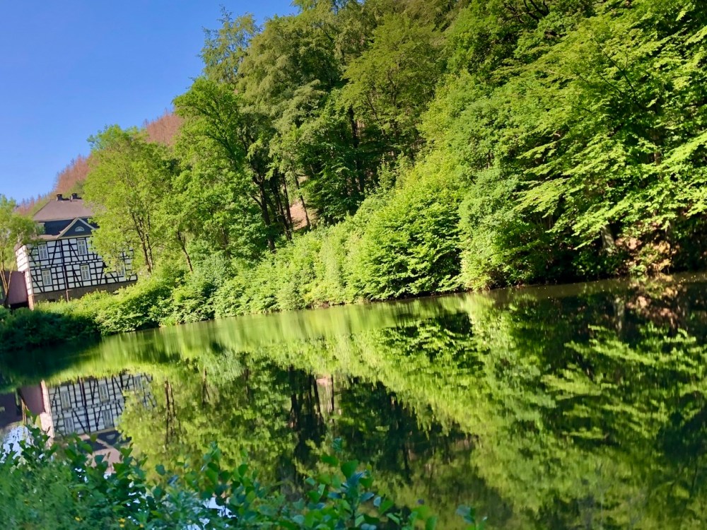 4125931C-7254-423E-81C7-A3998725F2E2