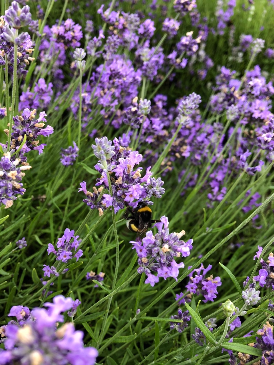 42674941-7AE2-498B-B399-D40205D24FA8