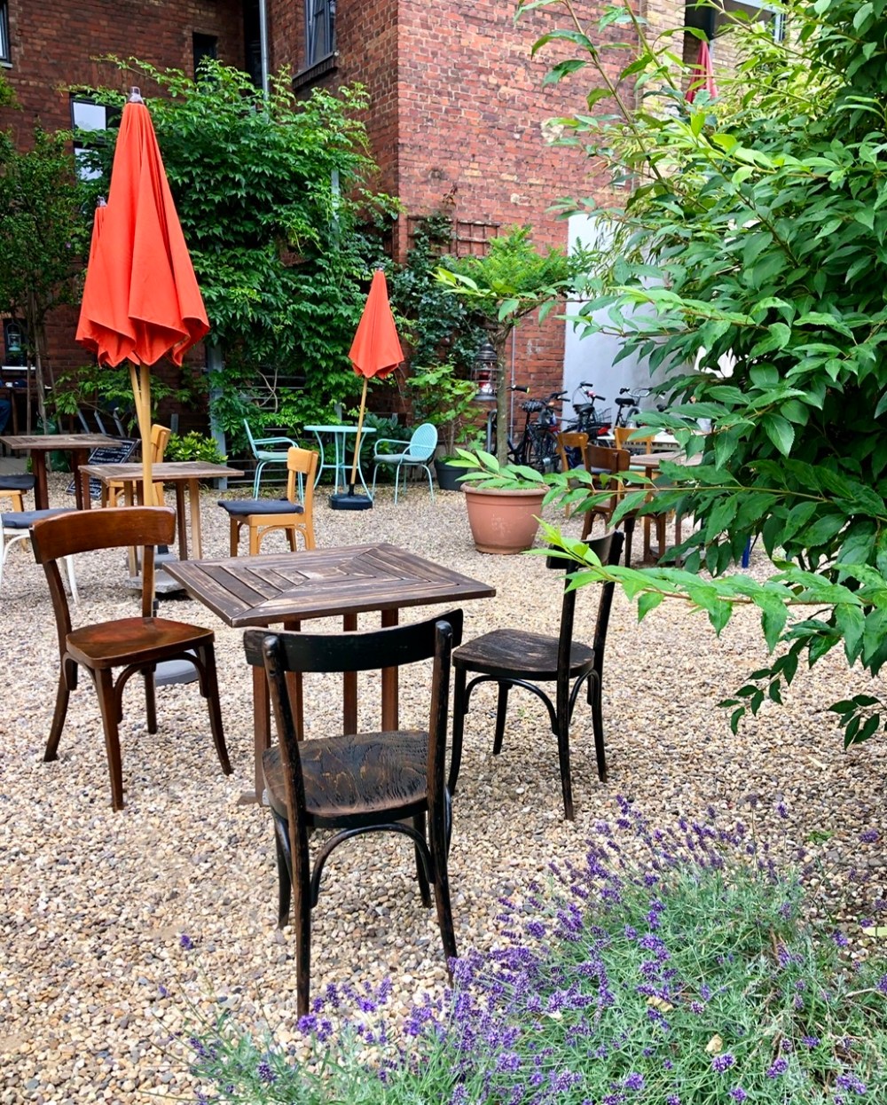 53E17666-FEB6-4D11-A80E-CAD3AB7F4820