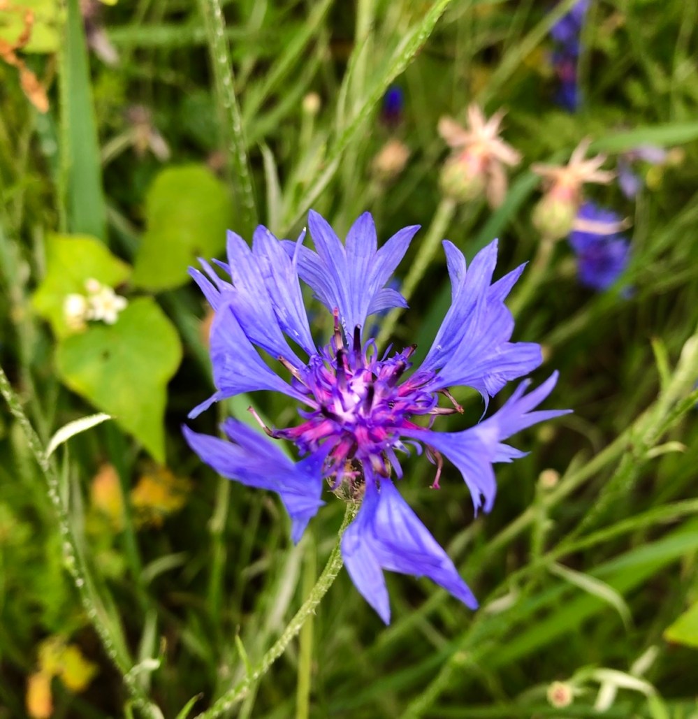 62685449-B263-46AD-B6CA-59770929891B