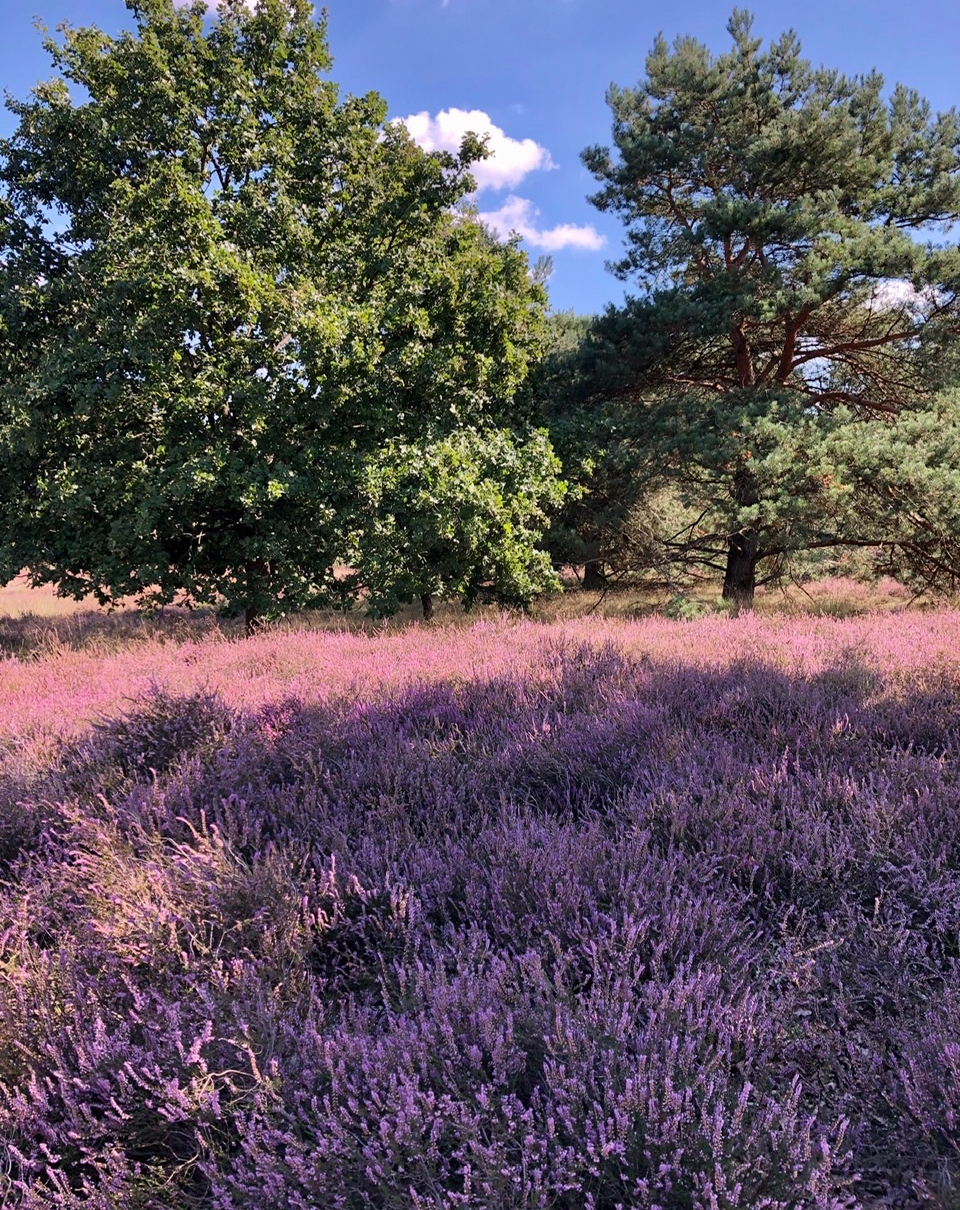 0EF2A843-0F0D-418D-9ACC-0ADA0B66882D