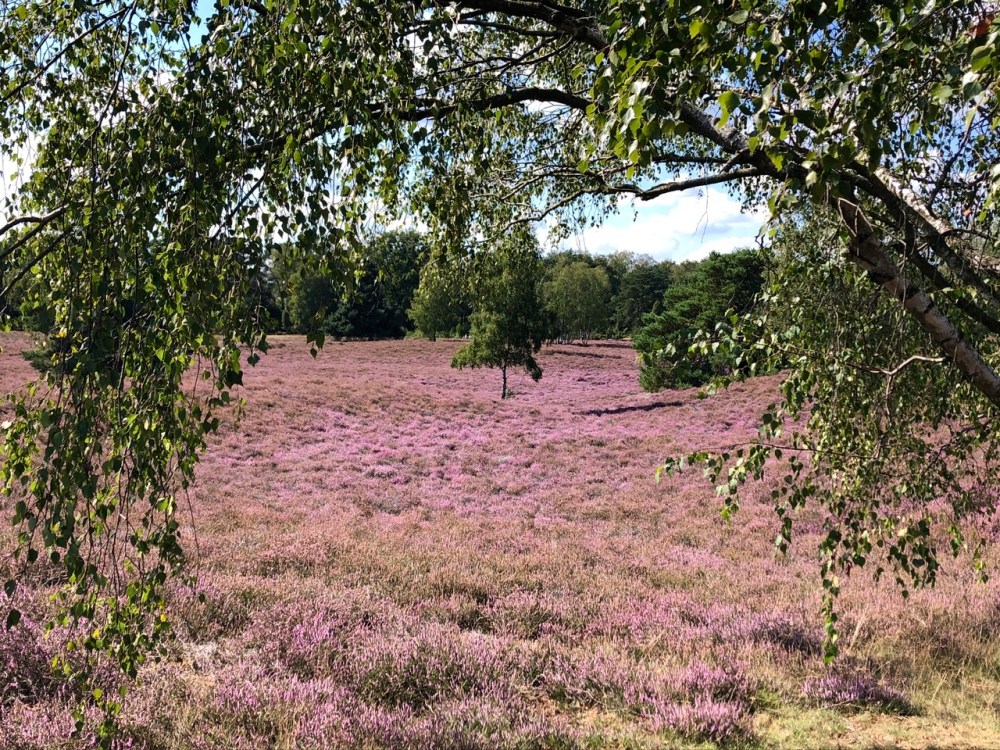 D18A48F8-54D4-4128-BDAC-87F27EF15CF6